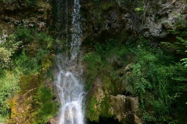 Ormanda güzel bir şelale 