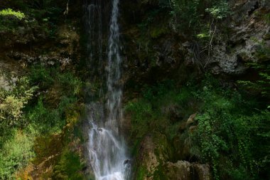 Ormandaki şelalenin doğa manzarası