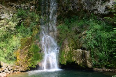 Ormandaki şelalenin doğa manzarası