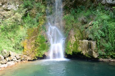 Ormandaki şelalenin doğa manzarası