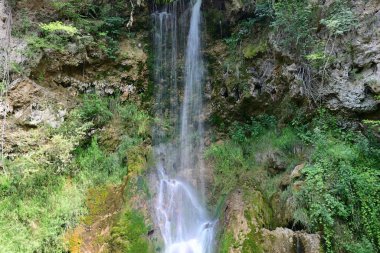 Ormandaki şelalenin doğa manzarası