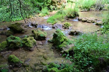 Ormandaki güzel su akıntısı