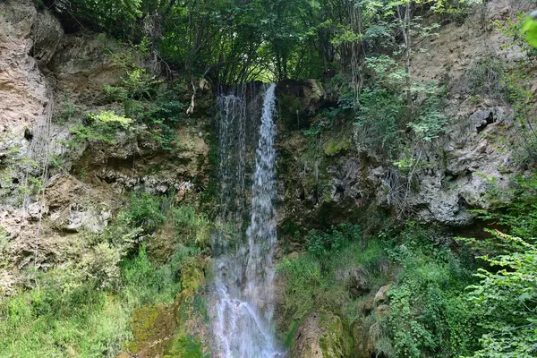 Ormandaki şelalenin doğa manzarası