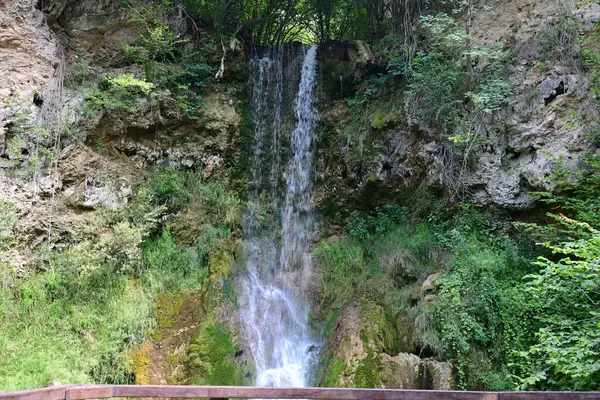 Ormandaki şelalenin doğa manzarası