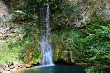 Ormandaki şelalenin doğa manzarası