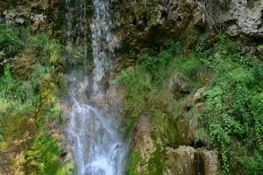 Ormandaki şelalenin doğa manzarası