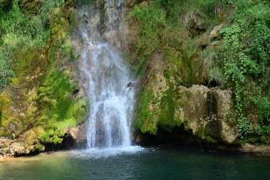 Ormandaki şelalenin doğa manzarası