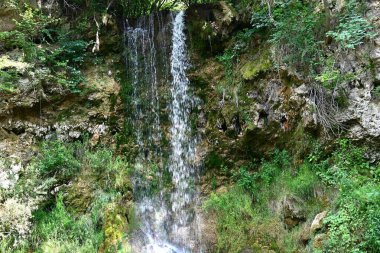 Ormandaki şelalenin doğa manzarası