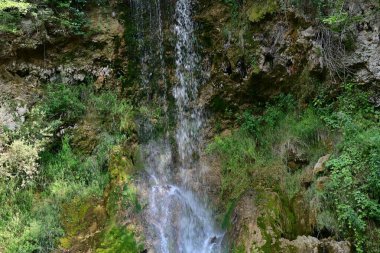 Ormandaki şelalenin doğa manzarası