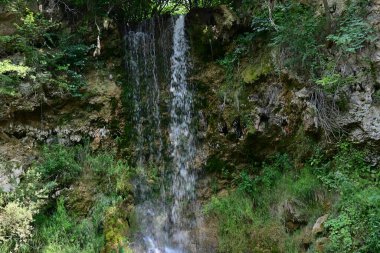 Ormandaki şelalenin doğa manzarası