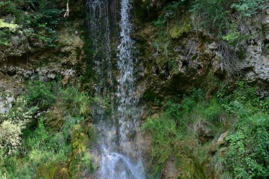 Ormandaki şelalenin doğa manzarası