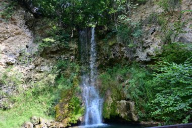 Ormandaki şelalenin doğa manzarası