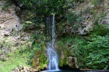 Ormandaki şelalenin doğa manzarası