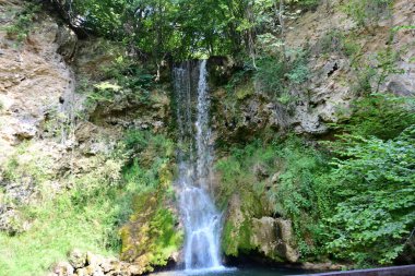 Ormandaki şelalenin doğa manzarası