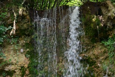 Ormandaki şelalenin doğa manzarası