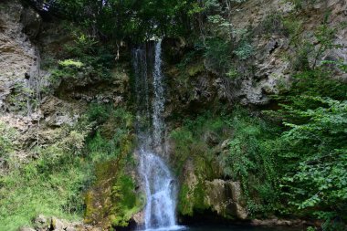 Ormandaki şelalenin doğa manzarası