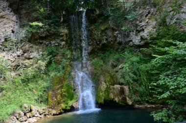 Ormandaki şelalenin doğa manzarası