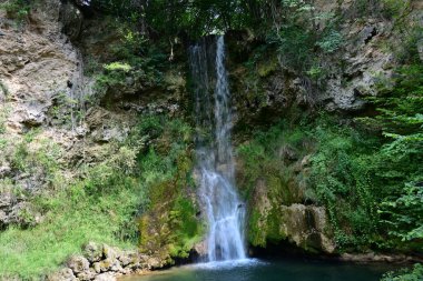 Ormandaki şelalenin doğa manzarası