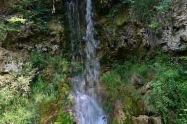 Ormandaki şelalenin doğa manzarası