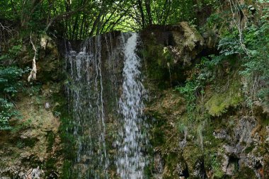 Ormandaki şelalenin doğa manzarası