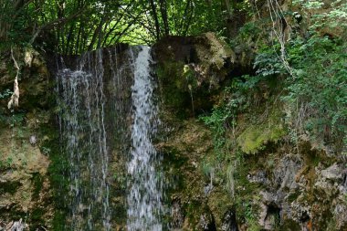 Ormandaki şelalenin doğa manzarası