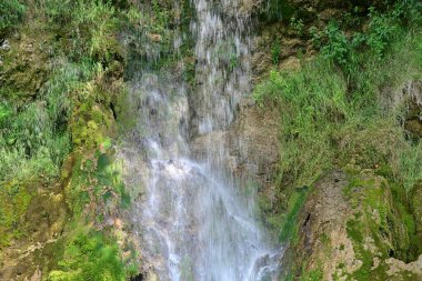 Ormandaki şelalenin doğa manzarası