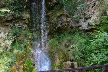 Ormanda güzel bir şelale 