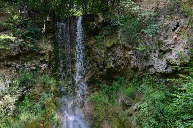 Ormanda güzel bir şelale 