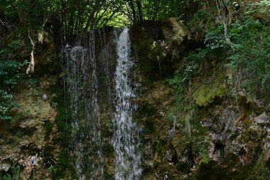 Ormanda güzel bir şelale 