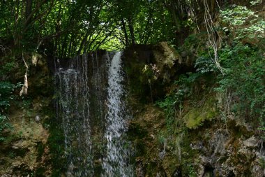 Ormanda güzel bir şelale 