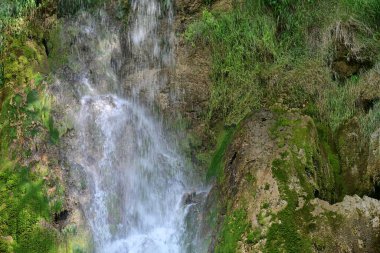 Ormanda güzel bir şelale 