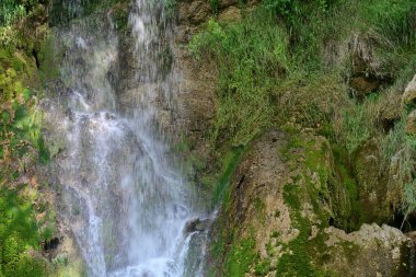 Ormanda güzel bir şelale 