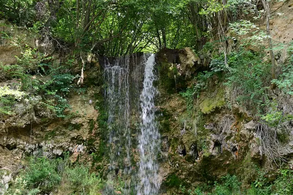 Ormandaki şelalenin doğa manzarası