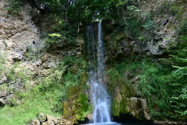 Ormandaki şelalenin doğa manzarası