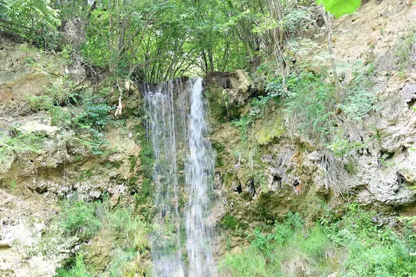 Ormandaki şelalenin doğa manzarası