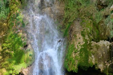 Ormanda güzel bir şelale 