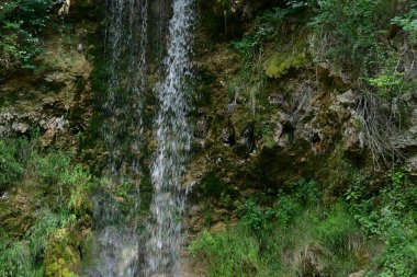 Ormanda güzel bir şelale 