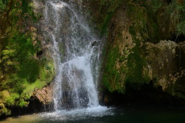 Ormanda güzel bir şelale 