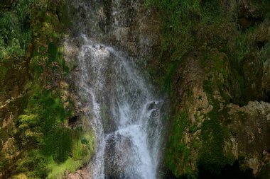 Ormanda güzel bir şelale 