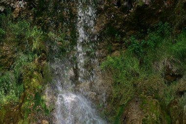 Ormanda güzel bir şelale 
