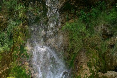 Ormanda güzel bir şelale 