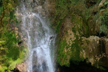 Ormanda güzel bir şelale 