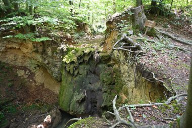 Doğanın arka planında yosun kaplı kayaların yakın plan çekimi.