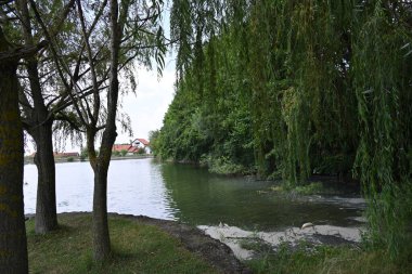 Gölü ve yeşil ağaçları olan güzel doğa manzarası