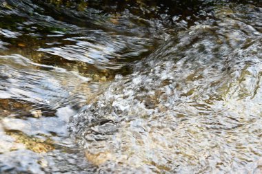 Ormanda güzel bir şelale