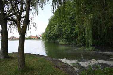 Gölü ve yeşil ağaçları olan güzel doğa manzarası
