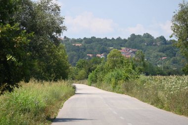 Yol yaz günü yeşil ağaçlar ve bitkilerle çevrili.