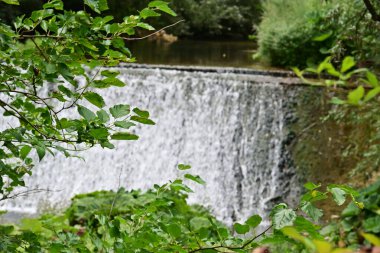 Ormandaki su akıntısı 
