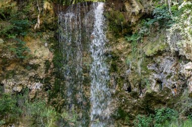 Ormandaki su akıntısı 