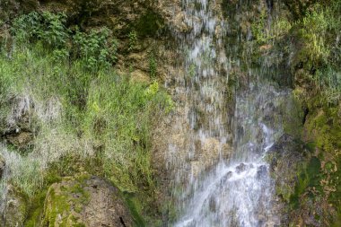 Ormandaki su akıntısı 